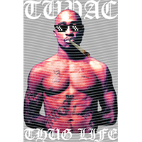 idol singer-GS  1576